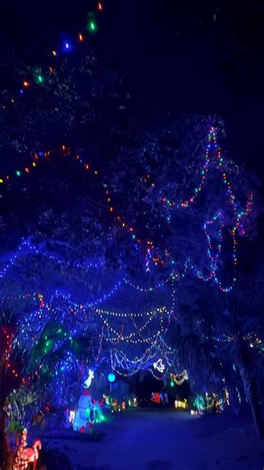 Dove Street is glowing again ✨ One of Hilton Head’s most charming holiday traditions, with homes sparkling from top to bottom and that cozy neighborhood magic you can’t help but love. Have you driven through yet this season? #SpinnakerResorts #HiltonHeadIsland #HolidayMagic | Spinnaker Resorts | Facebook