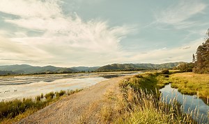 156K views · 186 reactions | Solo travel is a soulful experience. Head to wild Idaho to find your own connection with nature this season. #visitidaho | Matador Network | Facebook