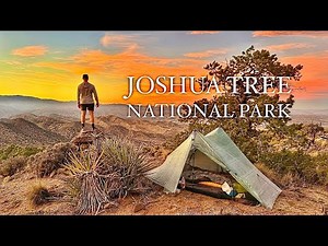 WILD CAMPING in Joshua Tree National Park