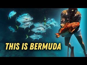 Spearfishing & Shipwrecks - Diving The Triangle (Bermuda 2025)