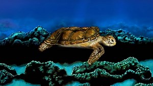 This Swimming Turtle Is Really a Model in Body Paint