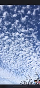 110K views · 2.5K reactions | 11/13/23 - Central California  User shared video of the sky completely blanketed by geo-engineered clouds 3 hours before sunset…  Bob Lewis #alienskies #thealienskies ##alienskiescommunity | Alien Skies | Facebook