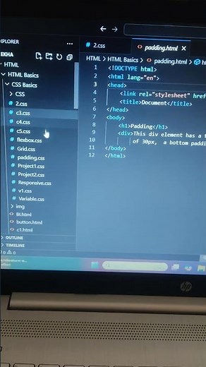 How to use CSS Padding? 💻 | Web Development for Beginners #shorts