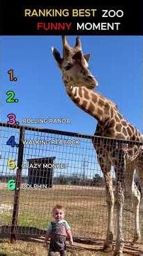 Ranking Best ZOO Funny Moment #shost #viral #funny