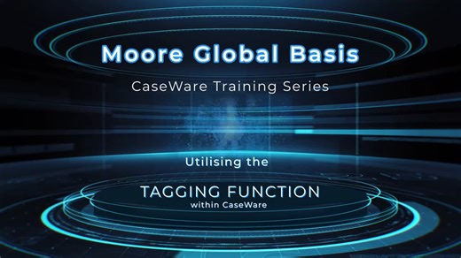 Utilising the tagging function within Caseware