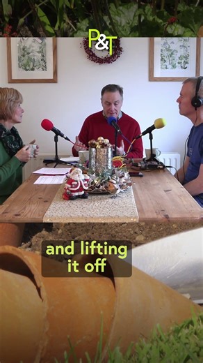 Plastic or Terracotta Plant Pots - What do you Choose? - Pots & Trowels #gardeningplants