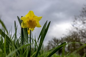 Ostern: Was feiern wir genau und warum gibt es Ostereier?