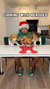 IT’S TIIIIIME!!! 🎅🏻🎄The countdown begins! And what better countdown than with homemade advent calendar treatos? We made two flavours: beetroot and banana, and apple and spinach 😋 Would you do this for your pup? #beagle #viral #viralvideos #dog #funnydog #cookingwithbeagles #cookingwithdog#dogparent #naughtybeagle | Beagles Kiki & Koko