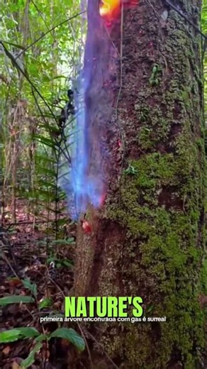 5 Unbelievable Natural Moments That Don’t Feel Like Earth 😱
