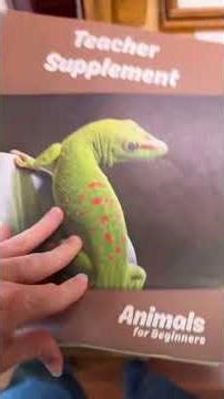 Homeschool science curriculum from Masterbooks. Elementary #homeschooling