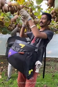 2.4M views · 3.1K reactions | Technology and the best moments of labor  | Media 2 | Facebook