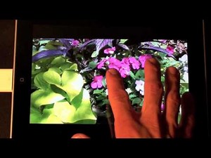 Apple iPhone 4: iPad Camera Connection Kit Demo