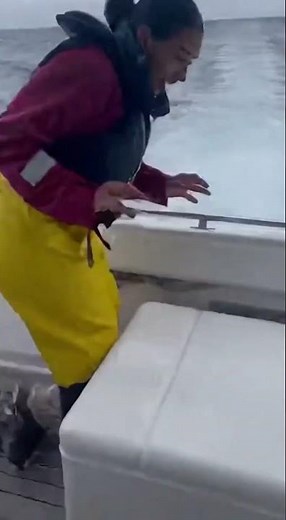 SHARK ATTACK! Our Boat Became Its ONLY Hope!