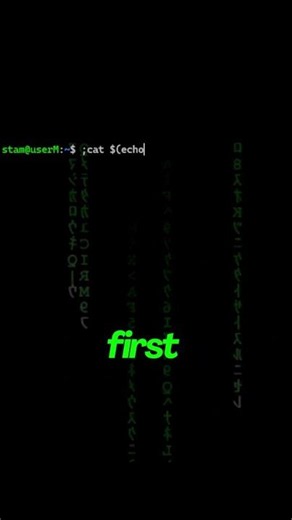 Day 8 of Hacking a Website Every Day — CMDi #ctf #pentesting