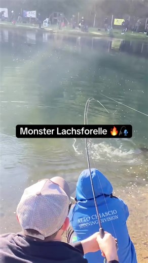 Lachsforelle im Drill – Angel-Action & Fangfreude