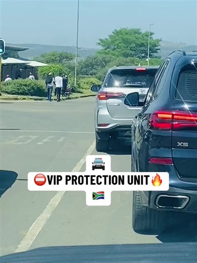 VIP Protection Unit in 🇿🇦: IFP Security Details Revealed