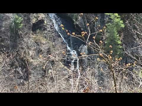 Bottom Creek Gorge - Bent Mountain Falls #shorts