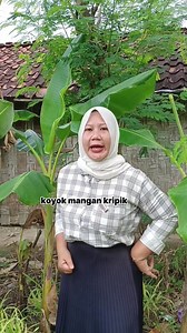 580K views · 9.8K reactions | Penak-penak bojo lemu | Mbak Menor | Facebook