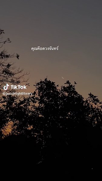 Goodnightlibrary บน TikTok