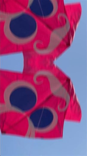 🪁 Battle of colors in the sky! #shorts #shortvideo