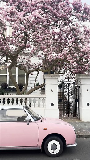 58K views · 45 reactions | Keeping your classic cars in tip top condition can be a little tricky, fortunately Figgy Of London showed us that with a bit of love and Autoglym, you can have your car looking good as new in no time! 識✨ Plus, get a free Autoglym item included with your purchase on the Autoglym official eBay store: https://www.ebay.co.uk/e/motors/1124-autoglym  Offer ends 29th March @ 10am Max 1 item per user, while stocks last. T&Cs apply | eBay.co.uk | Facebook