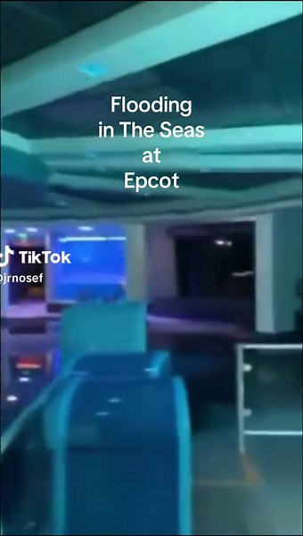 Turtle Talk with Crush During Hurricane at Disney World