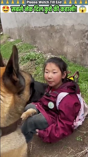 सबसे नेक दिल कुत्ते की कहानी 🙏 #animal #animalrescue #animallover #rescue #dog