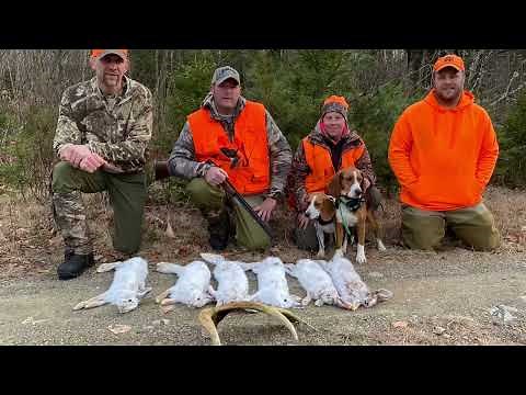 Snowshoe hare hunting in MAINE with BRIAR RUN GUIDE SERVICE