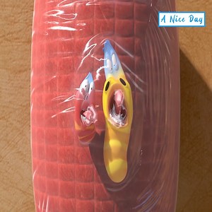 2.4M views · 10K reactions | all for the BIGGEST Ho Dog pads in the world | Nice Day | Facebook