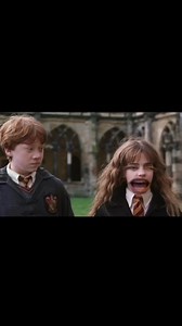 Some of my fave Chamber of secrets parodies… it’s the Lucius Malfoy insults for me 😂 as always, some of these are almost two years old so don’t judge the voices too harshly. I wasn’t even trying to sound like the characters at this point 💀💀 HEY! BECKY WITH THE GOOD HAIR! | chanwills