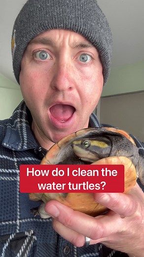 391K views · 7.6K reactions | How I Clean The Turtle Pool In The Snow!!! 略❄️ | Corbin Maxey | Facebook