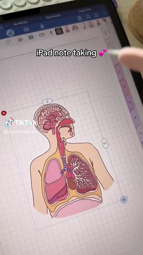 DIY Diagram Drawing in GoodNotes 6 | Easy Guide & Tips