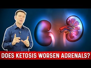 Can ketosis worsen adrenal glands - Dr. Eric Berg DC Best-selling author and advocate of keto and intermittent fasting. Join group:👇👇👇 https://www.facebook.com/groups/929996162034238 https://www.facebook.com/groups/1313837163097271 | Dr. Eric Berg