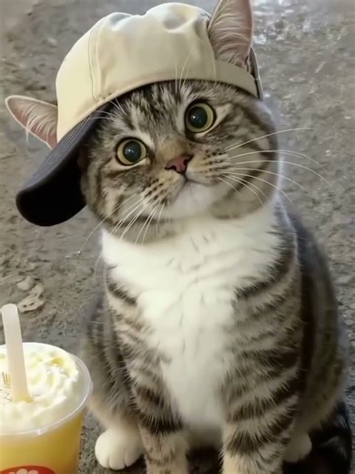 Pure Love & Cute Moments! 💕 Unforgettable Hugs! 🫶🏻