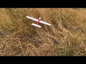 Multiplex Mini Solius RC Conversion