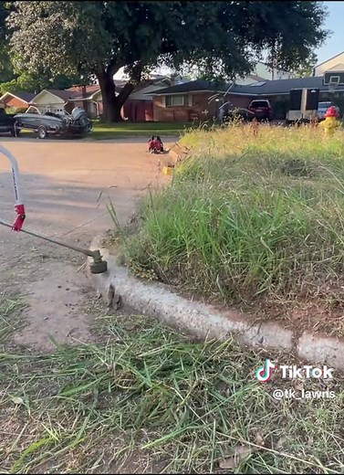 Restoring this OVERGROWN ISLAND for the NEIGHBORHOOD - Part 3 #oddlysatisfying #lawncare #fyp #viralvideo #lawntok #cleantok #asmr