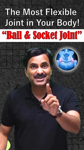 Dr. N.S. Jain on Instagram: "Ball & Socket Joint | The Most Flexible Joint in Your Body 🔥 [Ball and socket joint, Ball & socket joint, Most flexible joint in human body, Types of joints in human body, Human anatomy joints, Skeletal system biology, Joint movement biology, Hip joint anatomy, Shoulder joint anatomy, Biology class 11, NEET biology anatomy, Biology shorts, Science shorts, Human movement system, Anatomy for competitive exams] #BallAndSocketJoint #MostFlexibleJoint #HumanAnatomy #Skel