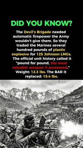 They Had 12-Pound Guns, the Army Said No... So They Traded Explosives for Them 💣