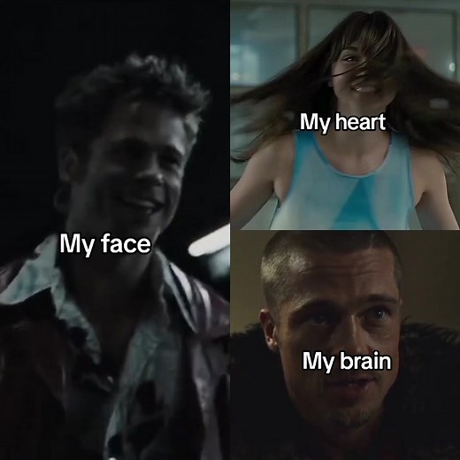 An amazing year coming to an end #sigma #patrickbateman #bladerunner2049 #anadearmas #tylerdurden #fightclub #teammapogo #fypシ #fypシ゚viral
