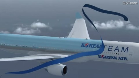 This Is The Oldest & Largest Airline Alliance