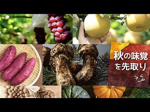 秋の味覚（山の幸編）