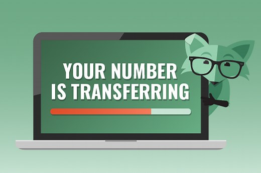 How to bring your number to Mint Mobile | Mint Mobile