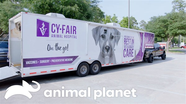6.2K views · 283 reactions | Grab a paintbrush! Dr. Ross surprises Dr. Blue and Dr. Lavigne with a rundown mobile vet care unit to provide low-cost treatment to animals in the community. They enlist Blue’s brother Tee, a marketing and branding expert, to help remodel the mobile unit. #AnimalPlanet #TheVetLife | Animal Planet | Facebook
