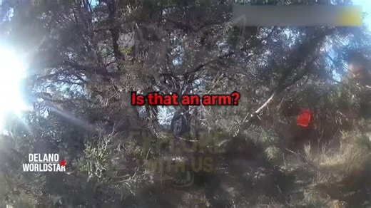 230K views · 2.8K reactions | Hunter Discovers 29 Human Body Parts in the Desert In today's body camera video, we're covering the bizarre case of Walter Harold Mitchell. | Delano WorldStar | Facebook