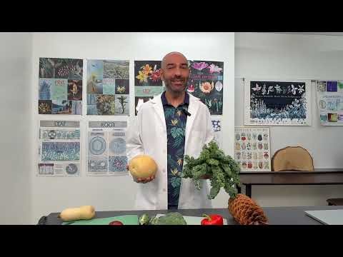 Fruits vs Vegetables: What's the difference? #botany #fruit #vegetables