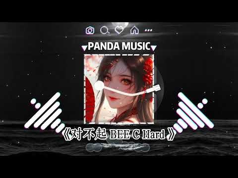 COCO 李玟 - 对不起 BEE C Hard (抖音DJ版) 『EDM TIKTOK』【動態歌詞｜Vietsub｜Pinyin Lyrics】
