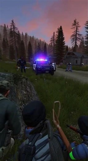 Dayz If There Was Cops #gaming #dayzgamers