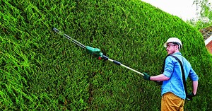 6 Best Pole Hedge Trimmers (Fall 2025) – Reviews & Buying Guide