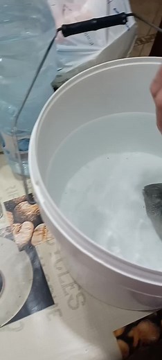 Caring for Your New Fish: A Guide to Aquatic Life