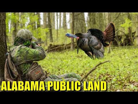 ON A STRING! Calling a Fired up Long beard Into Range